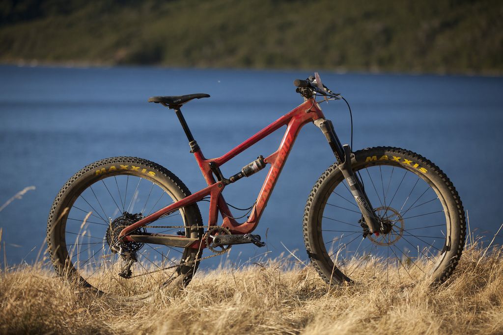 SCHightower27.5+.jpg