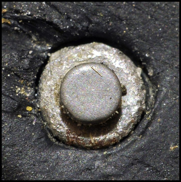 schwal02.jpg ht=725