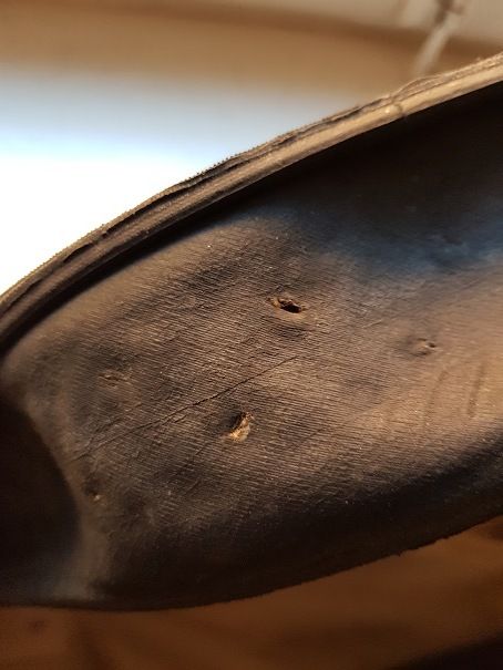 Schwalbe.jpg
