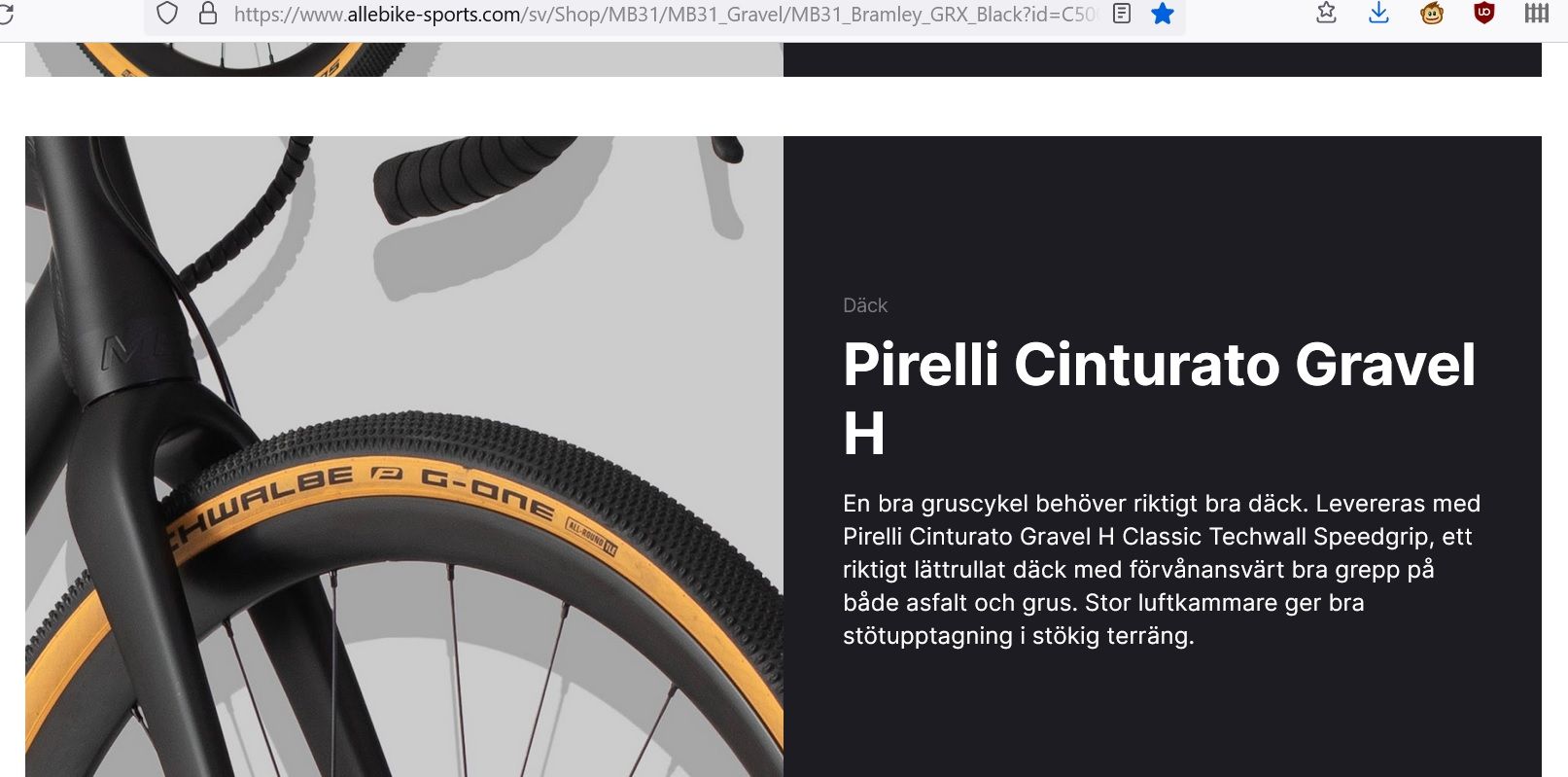 schwalbe pirelli.jpg