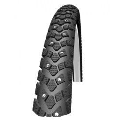 Schwalbe-Winter-244.jpg