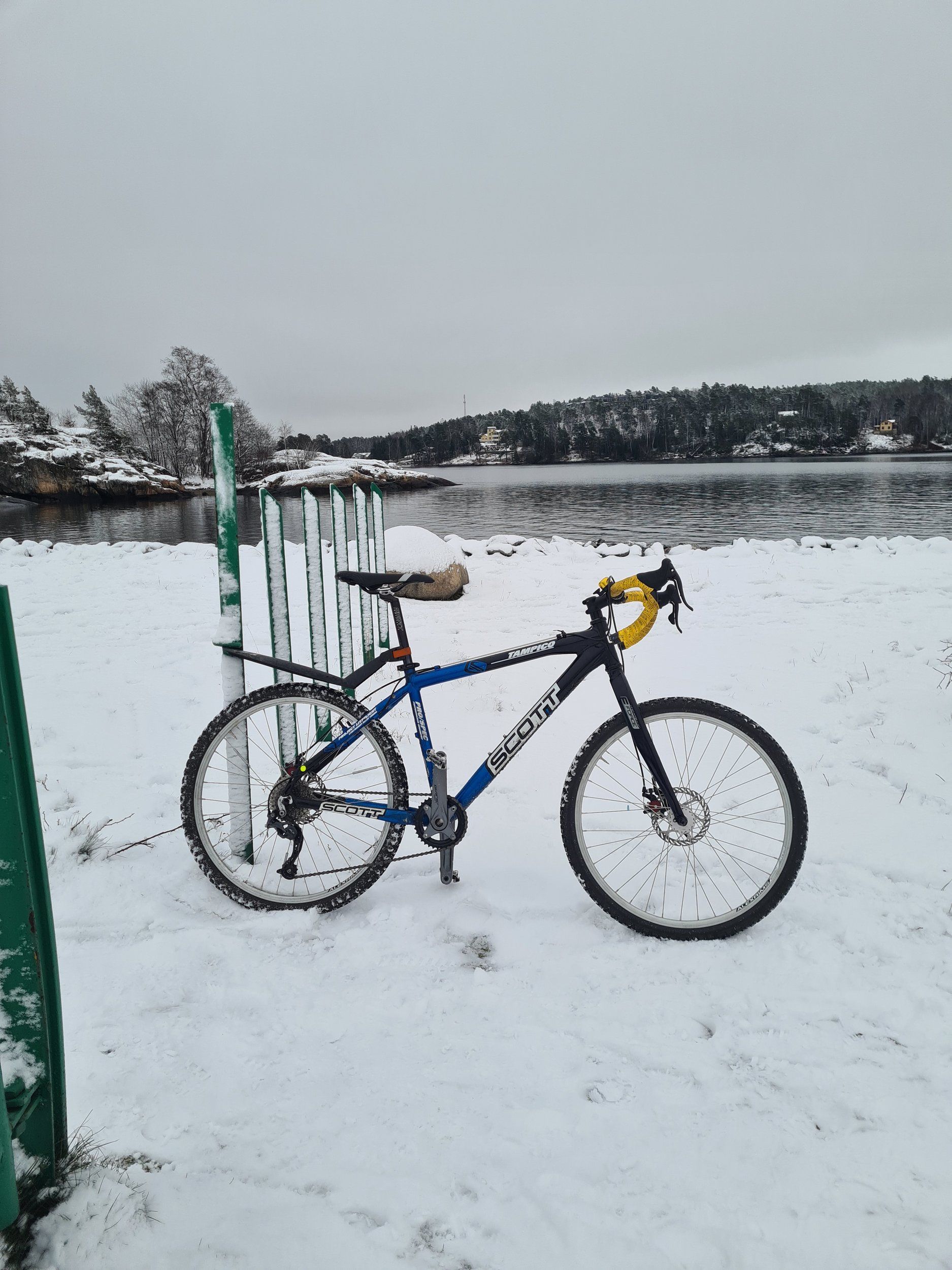 scottie_snö.jpg