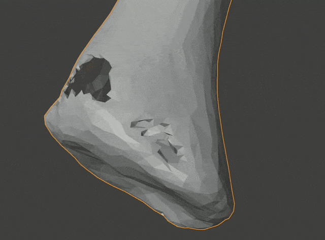 Screencast from 2025-01-13 21-53-32_1_1.gif