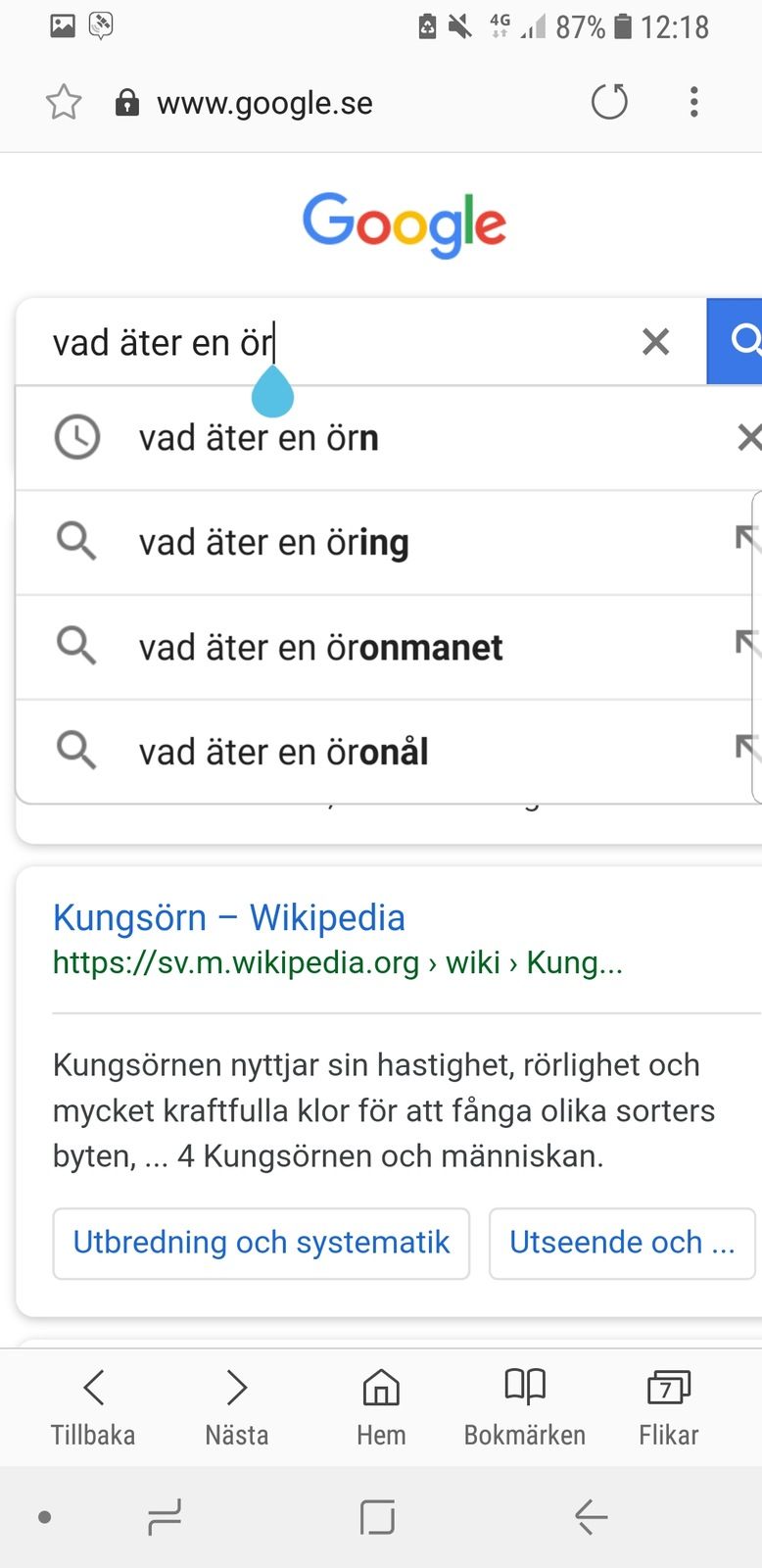 Screenshot_20180720-121840_SamsungInternet.jpg