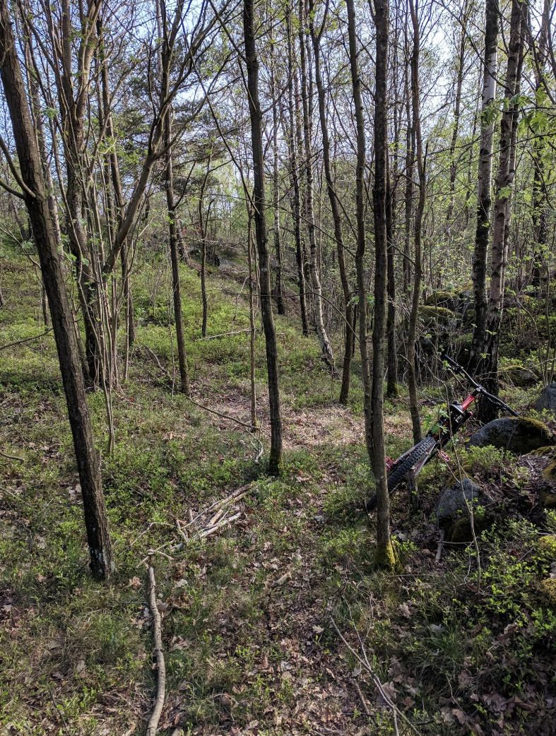 Screenshot_2019-04-26DashboardStrava.jpg