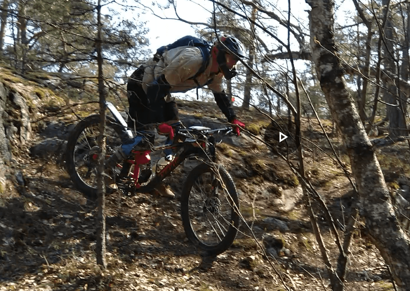 Screenshot_20190527-1947412.png