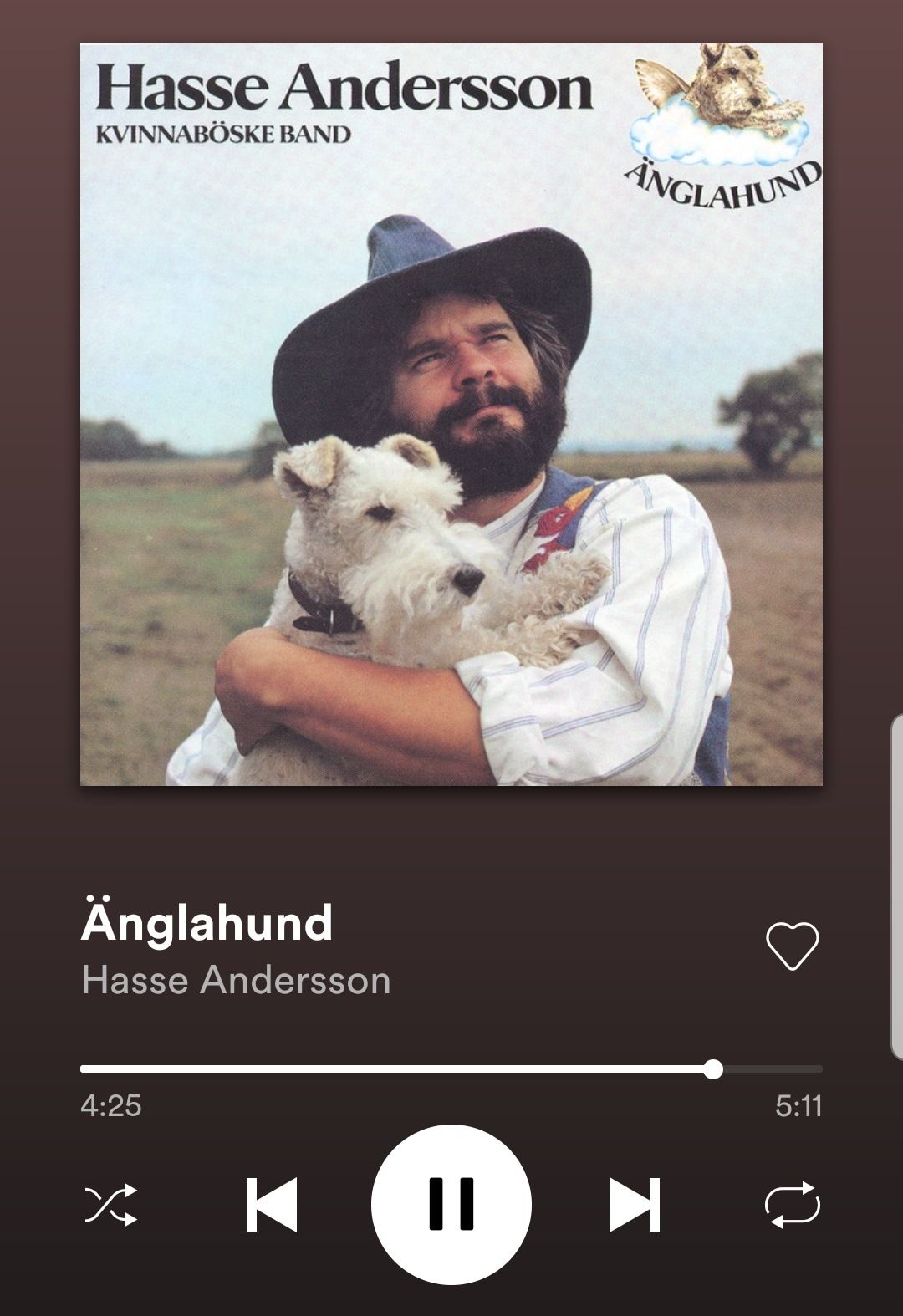 Screenshot_20191115-181734_Spotify-01.jpeg