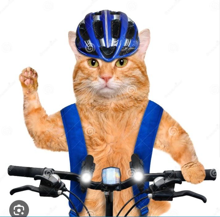 Screenshot_20231024_204402_Chrome.jpg