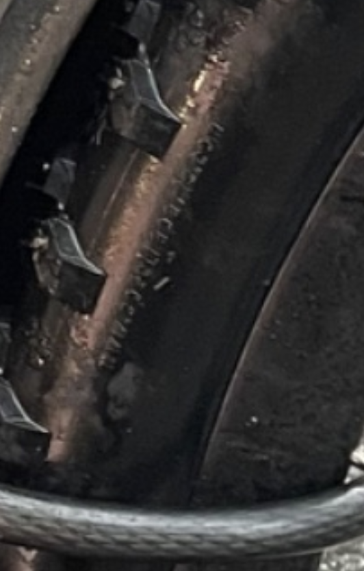 Screenshot_20241222-124644.png