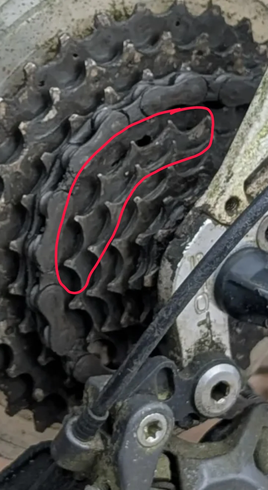 Screenshot_20250809-165620270 (1).webp