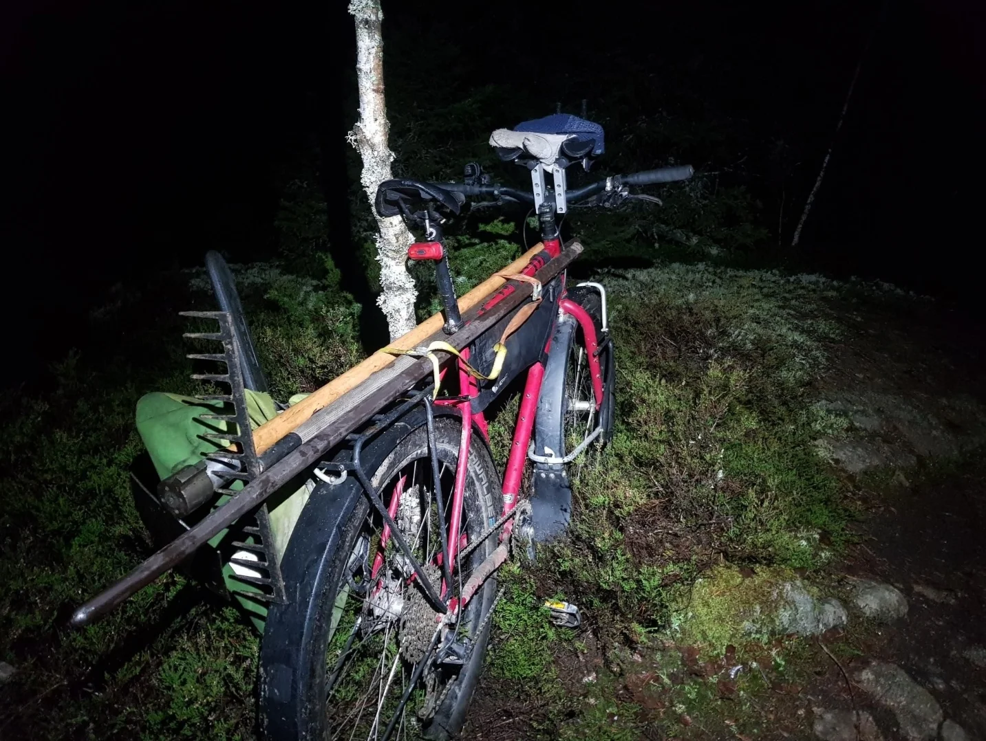Screenshot_20260519-102815_Strava.webp