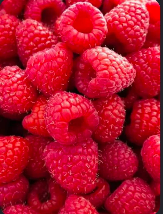 Screenshot_20260722-110515.webp