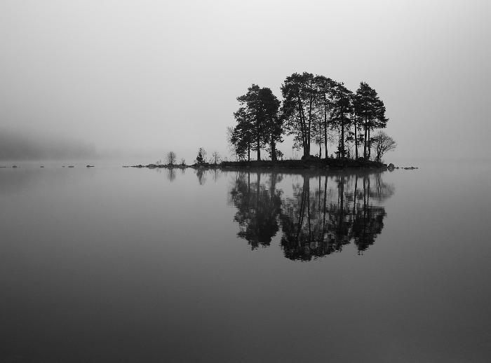 SDIM0539.jpg ht=518
