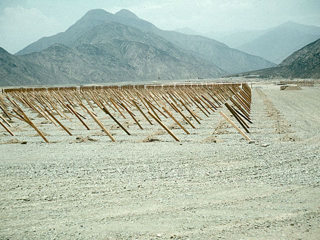 SecondQuadPostsMar611.jpg