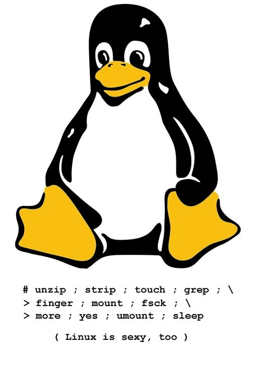sexy_linux.jpg ht=725