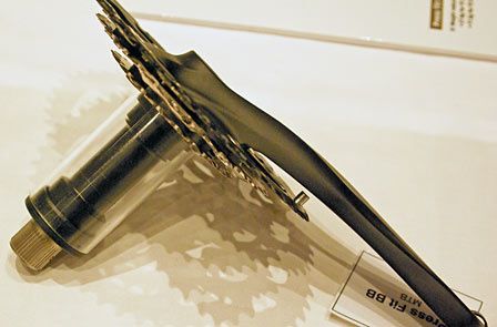 sh29.jpg ht=295