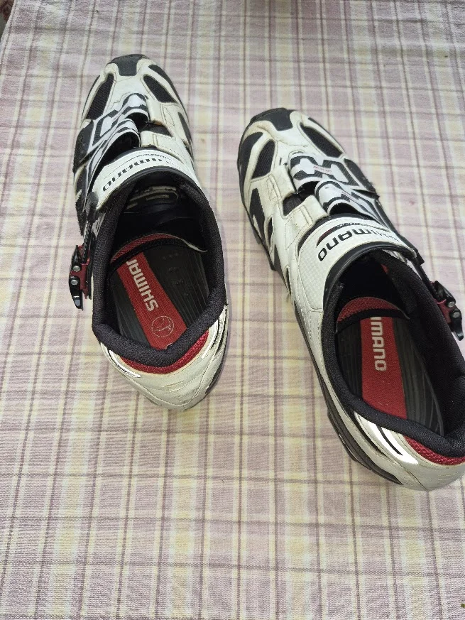 SH_M161W_2 - 20260904.webp