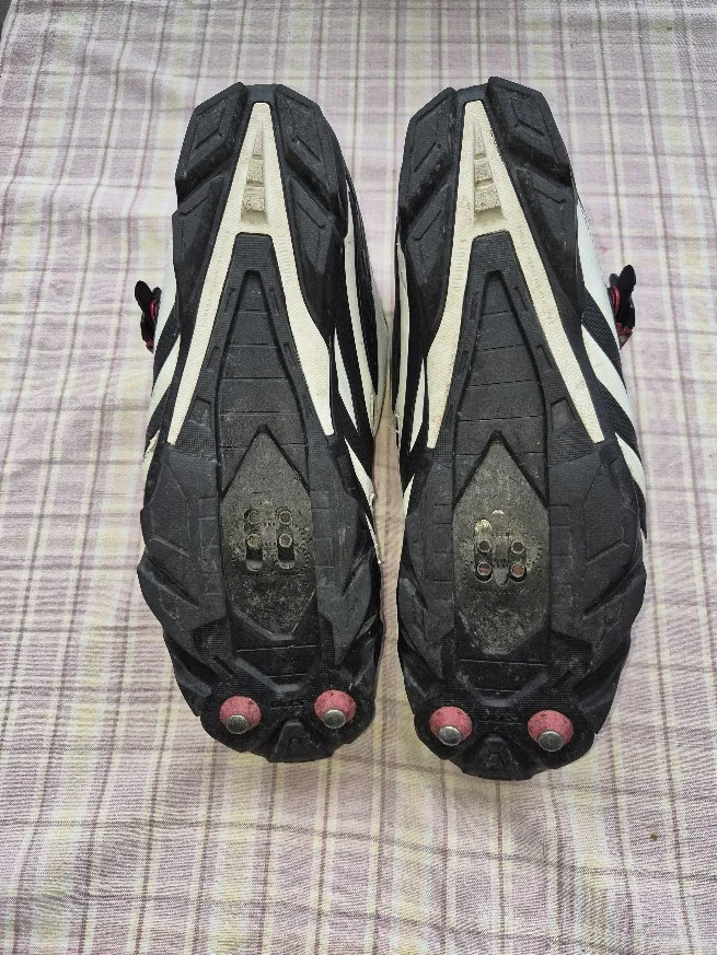 SH_M161W_3 - 20260904.webp
