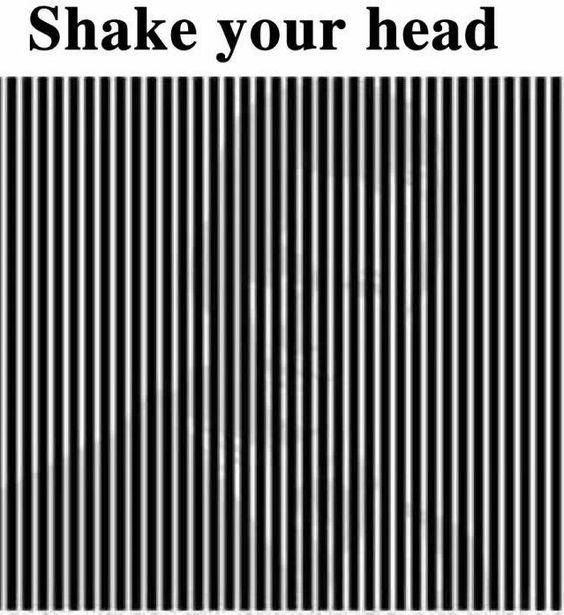 Shakeyourhead.jpg