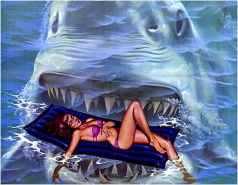 shark.jpg