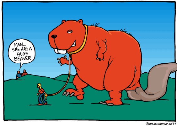 She_got_a_big.gif ht=404