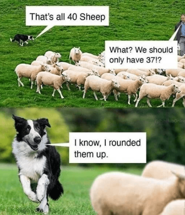 sheep.PNG
