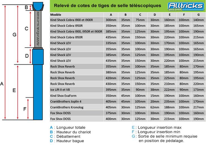 shemas-tige-de-selle+tableau.jpg