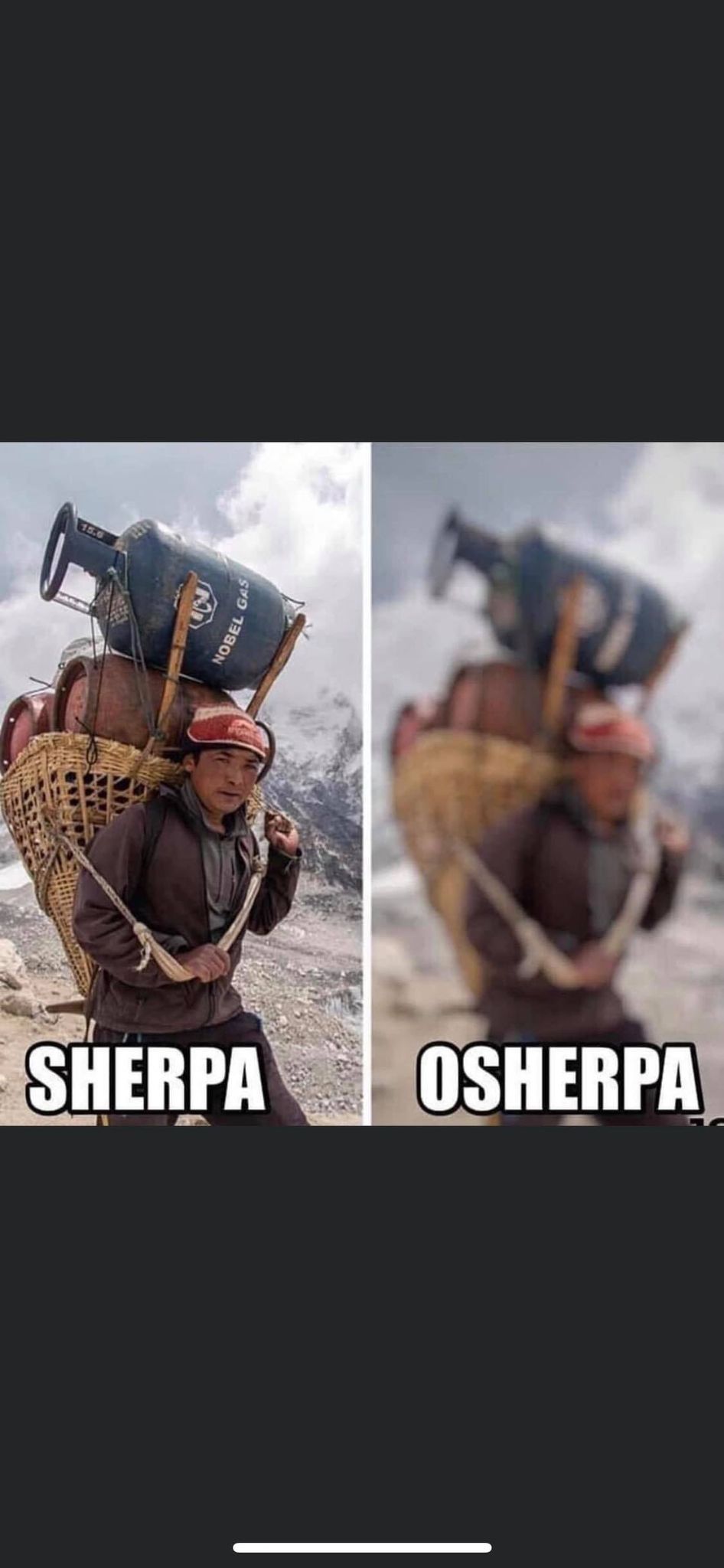 Sherpa.jpg