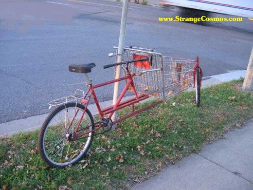 shopingbike.jpg ht=390