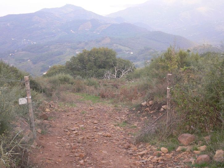 sicilien070106.JPG ht=544