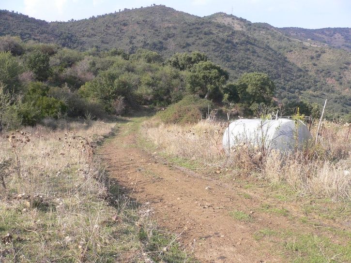 sicilien070301.JPG ht=544