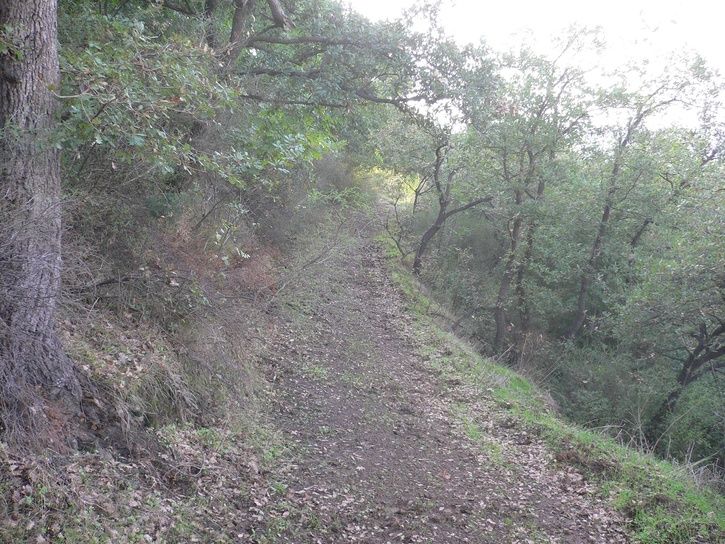 sicilien070334.JPG ht=544