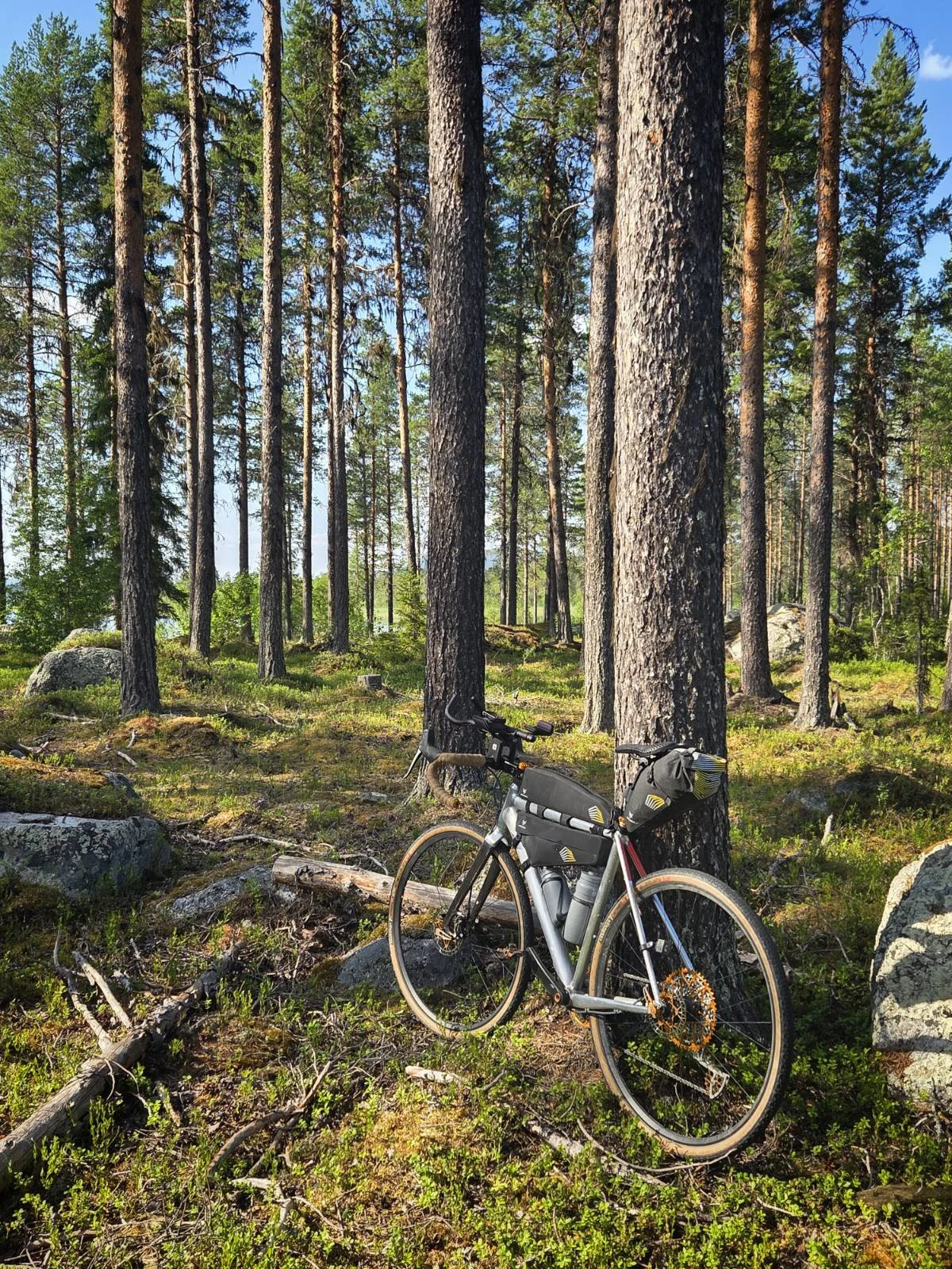 signal-2025-07-22-231959_013.webp