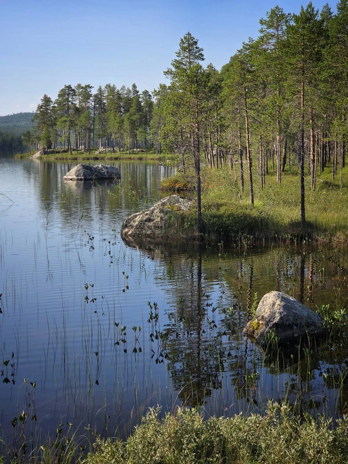 signal-2025-07-22-231959_021.webp