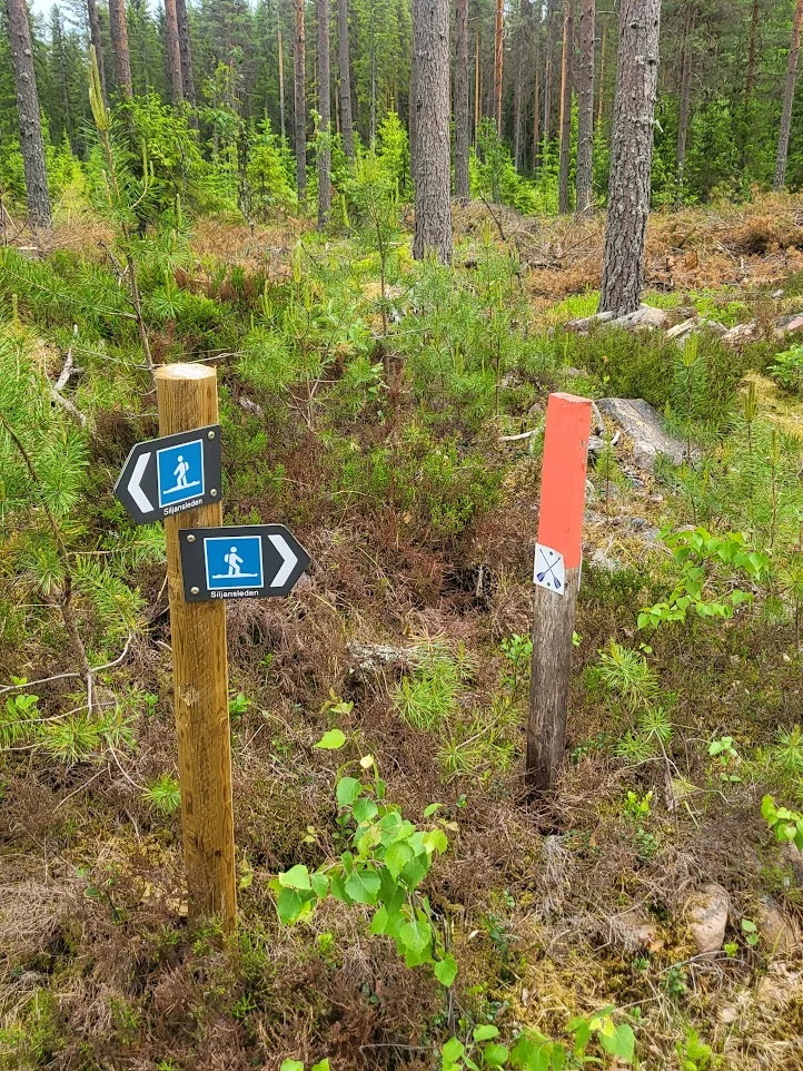 Siljansleden_Dalkarlsvägen_20250615.webp