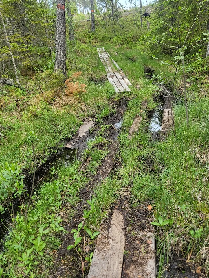 Siljansleden_surhål_20250615.webp