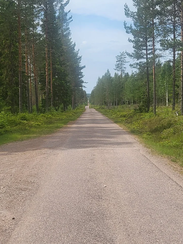 Siljansrinen_asfalt01_20250615.webp