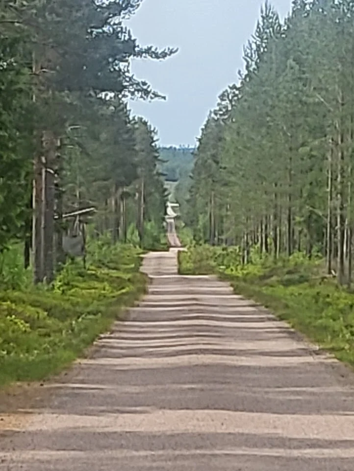 Siljansringen_asfalt02_20250615.webp