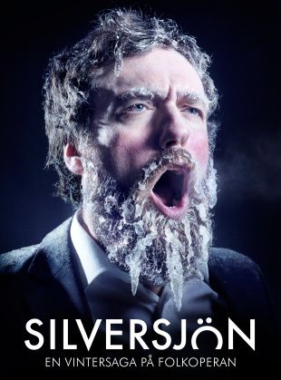 silversjon.jpg ht=419