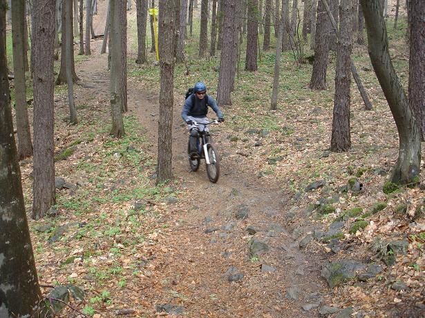 singletrack.JPG ht=461