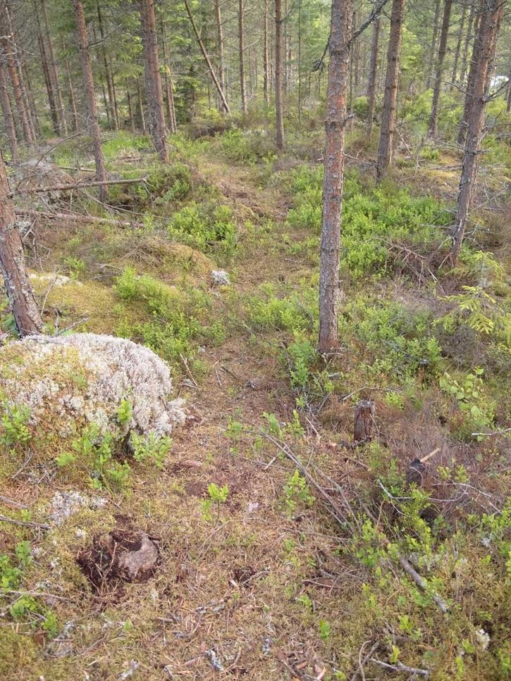 Singletrack-pa-slutet.jpg