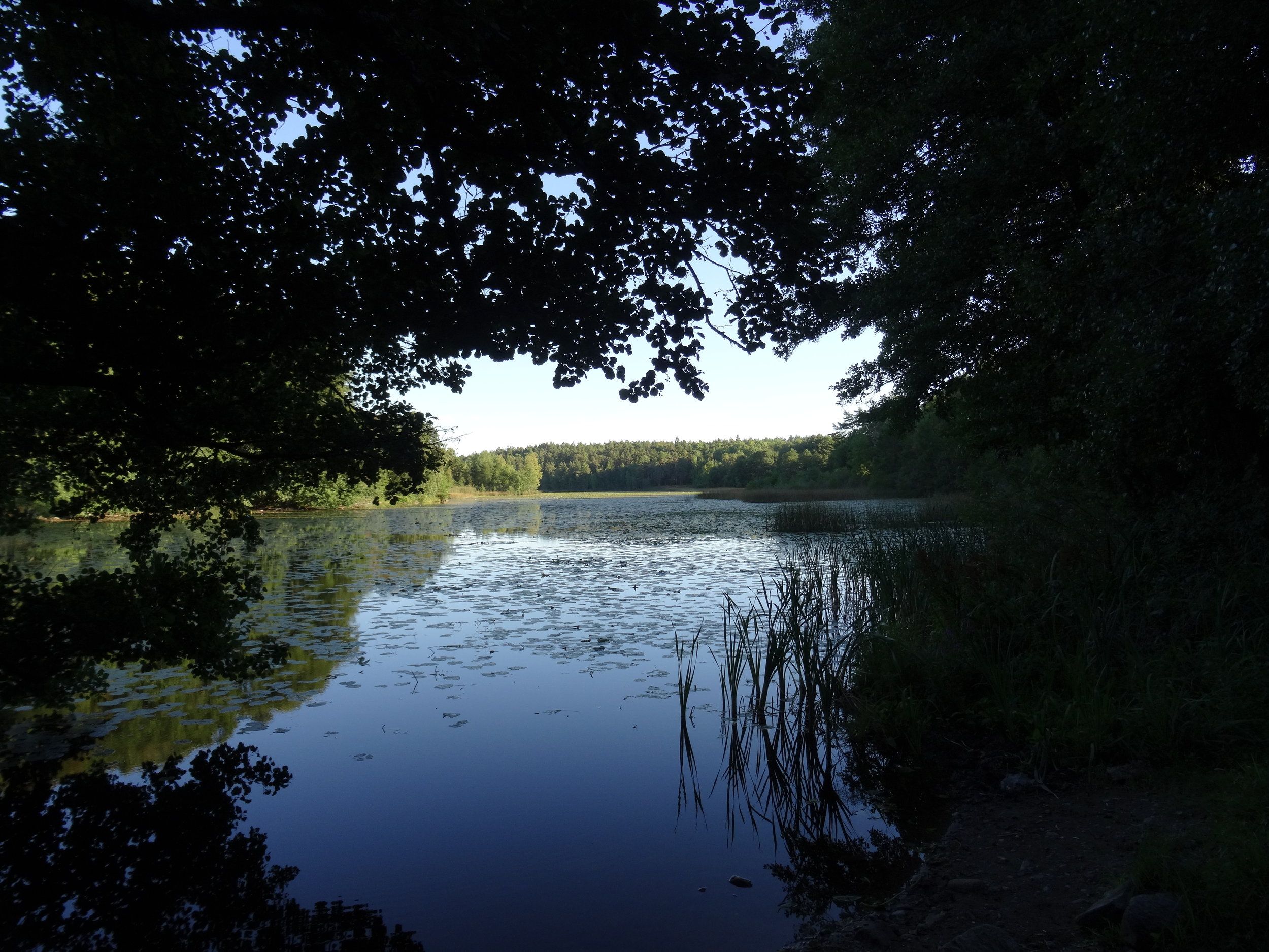 Sjö.JPG