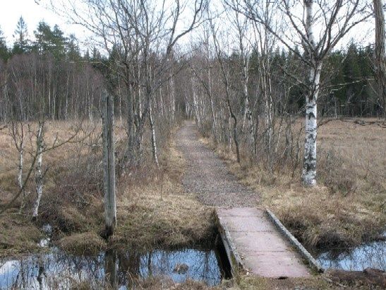 Sjmossen_G.jpg ht=410