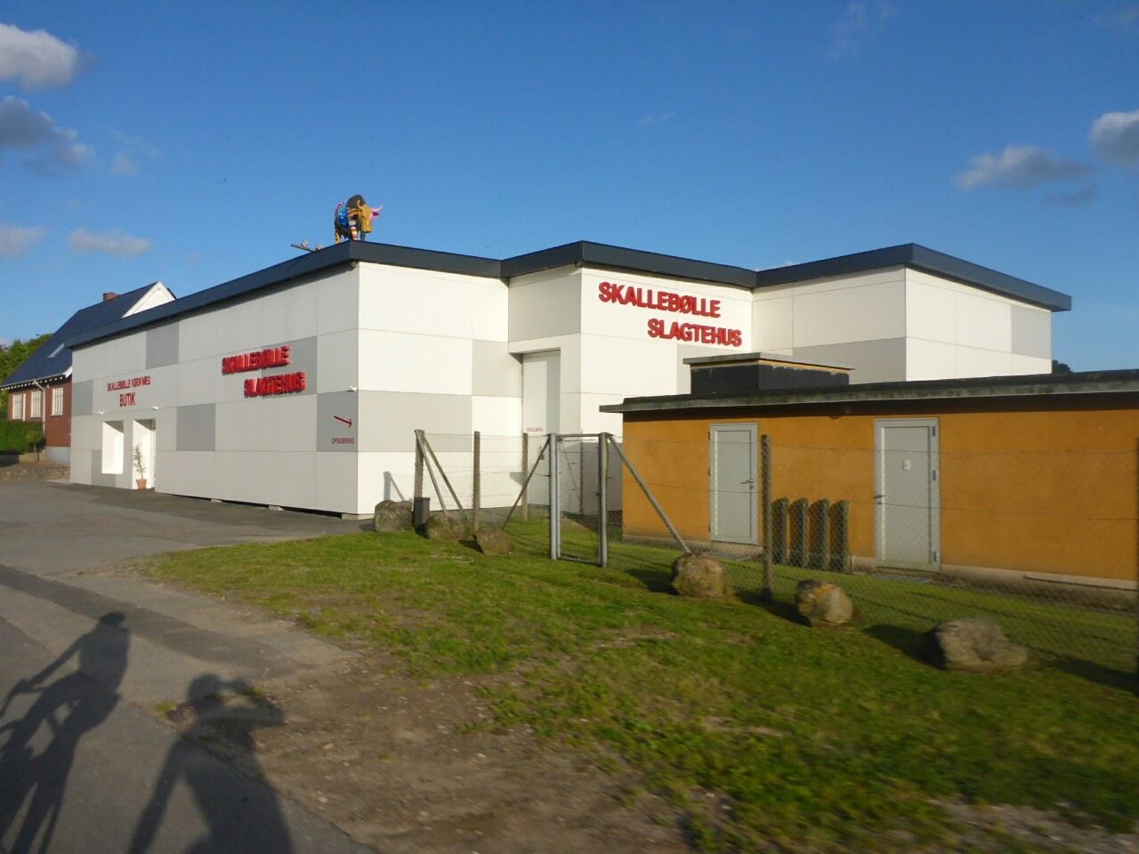skallebolle.JPG
