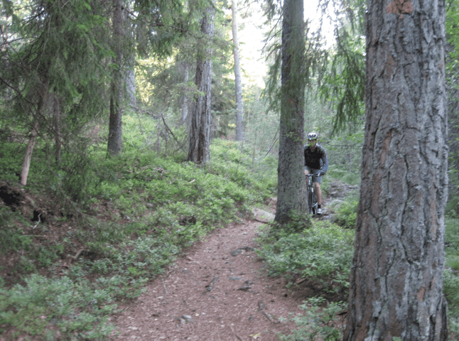 Skrmavbild2011-07-19kl.21.43.20.png