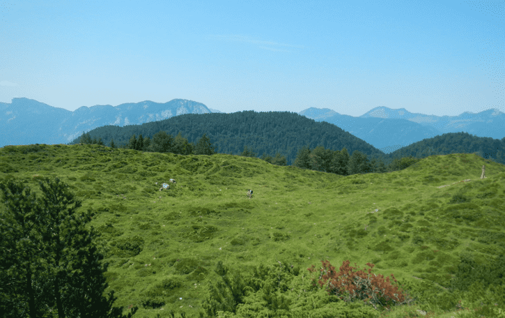 Skrmavbild2012-07-26kl.08.24.50.png