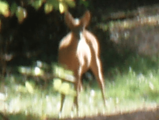 Skrmavbild2012-09-15kl.17.39.09.png