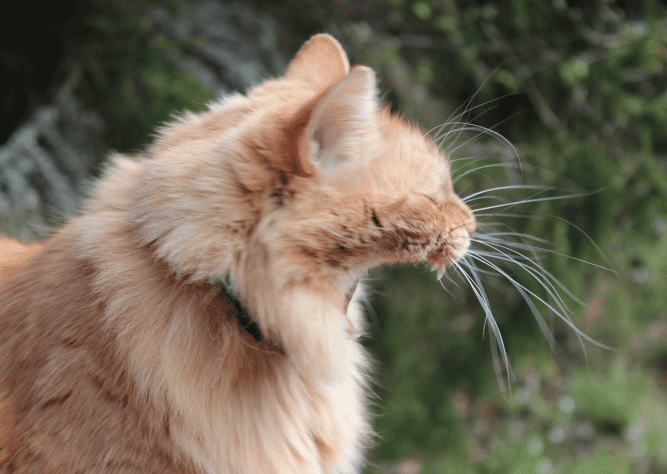 Skrmavbild2013-01-24kl.22.45.52.png