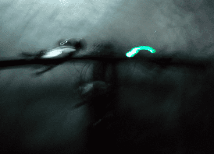 Skrmavbild2013-03-11kl.21.32.37.png