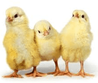 Skrmavbild2013-04-04kl.18.17.53.png